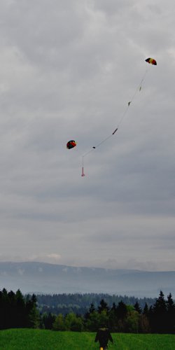 img_0382 pandy r panter ap 740 ns - navrat wr